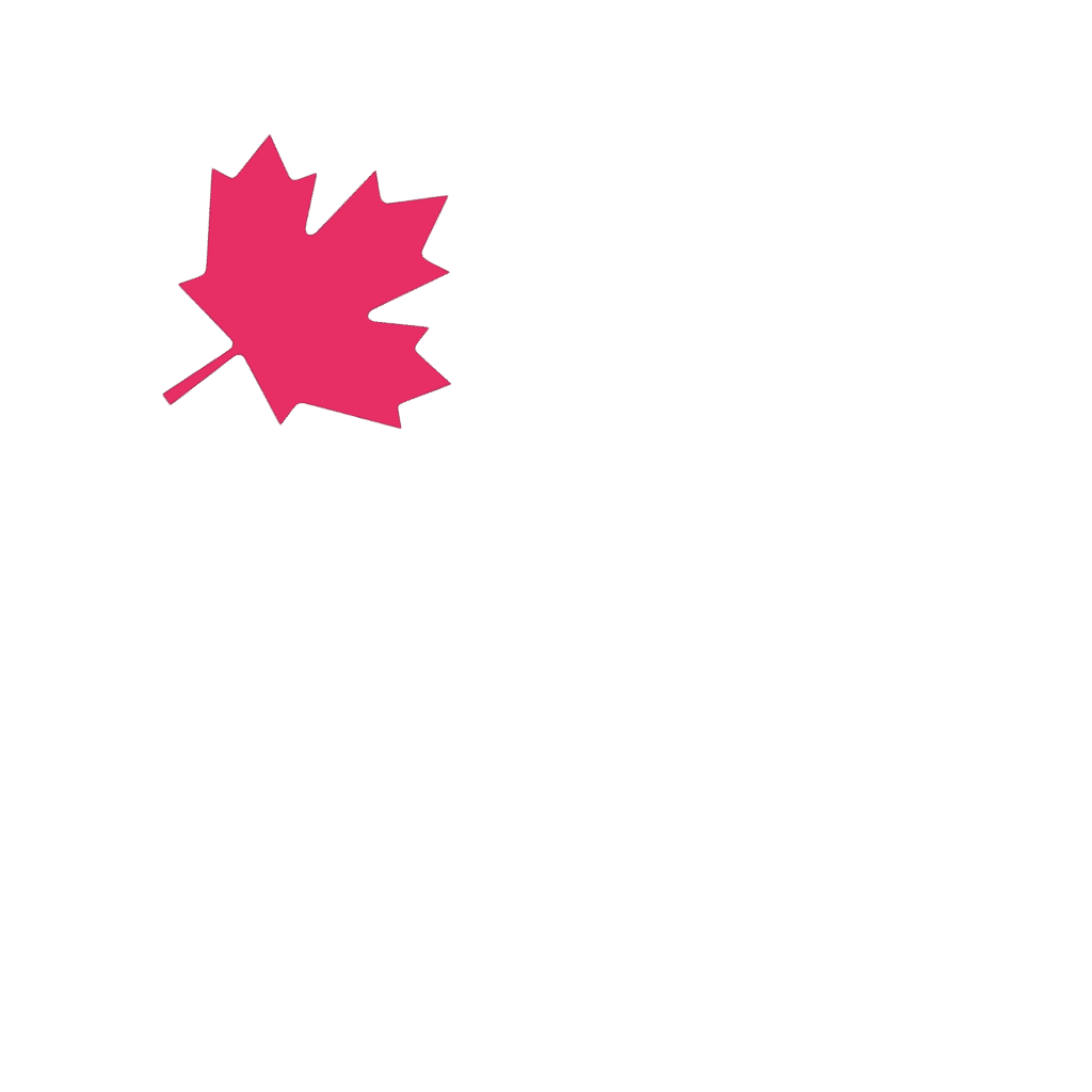 StayCount